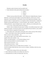 Muitinės procedūros 16 puslapis