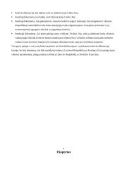 Muitinės procedūros 5 puslapis