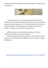 Nafta, kelios naftos įmonės 8 puslapis