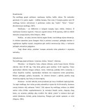 Narkomanijos pasekmės 8 puslapis