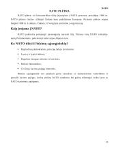 NATO istorija, plėtra 10 puslapis