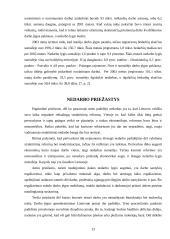 Nedarbo lygis Lietuvoje, jo priežastys 13 puslapis