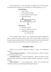 Nedarbo lygis Lietuvoje, jo priežastys 7 puslapis