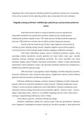 Neįgalių asmenų profesinė reabilitacija 13 puslapis