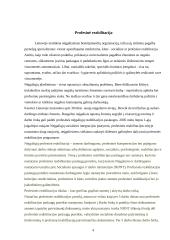 Neįgalių asmenų profesinė reabilitacija 4 puslapis