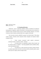 Paklausa rinkoje ir prekių paskirstymas 14 puslapis