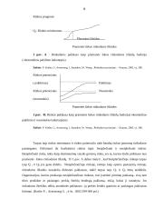 Paklausa rinkoje ir prekių paskirstymas 8 puslapis