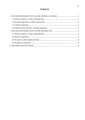 Palydovinės radijo navigacinės sistemos 11 puslapis