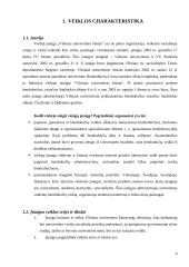 Paslaugų įmonės analizė: Všį "Vilniaus universiteto būstas" 4 puslapis
