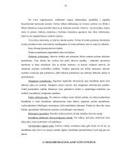Personalo verbavimas ir atranka 10 puslapis