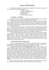 Pinigai, bankai, monetarinė sistema 4 puslapis