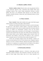 Rizikos grupės vaikai ir reabilitacinės priemonės 11 puslapis