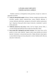 Solidarumas tarp kartų 10 puslapis