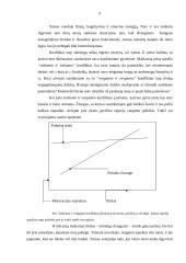 Stresas ir konfliktai 8 puslapis