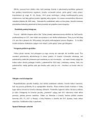 Svarbiausi šių laikų kariniai konfliktai: Irako karas ir Izraelio-Palestinos konfliktas 10 puslapis