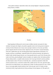 Svarbiausi šių laikų kariniai konfliktai: Irako karas ir Izraelio-Palestinos konfliktas 14 puslapis