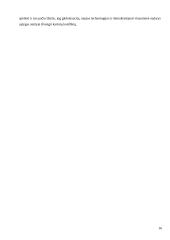 Svarbiausi šių laikų kariniai konfliktai: Irako karas ir Izraelio-Palestinos konfliktas 15 puslapis