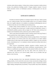 Tarptautiniai konfliktai ir jų reguliavimas 8 puslapis