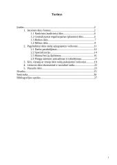 Ūkio raida. Raidą sąlygojantys veiksniai 2 puslapis