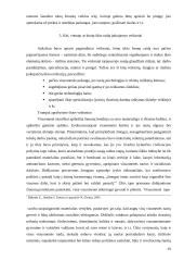 Ūkio raida. Raidą sąlygojantys veiksniai 20 puslapis