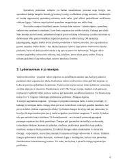 Vadovo lyderystės raiškos sąsajos su organizacijos veiklos kokybe 4 puslapis