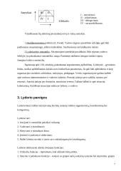Vadovo lyderystės raiškos sąsajos su organizacijos veiklos kokybe 7 puslapis