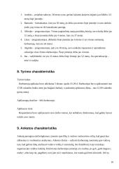Vadovo lyderystės raiškos sąsajos su organizacijos veiklos kokybe 10 puslapis