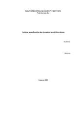 Valdymo sprendimai kuriant kompiuterių priežiūros įmonę