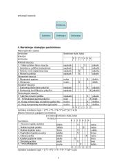 Valdymo sprendimai kuriant kompiuterių priežiūros įmonę 5 puslapis