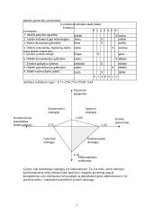 Valdymo sprendimai kuriant kompiuterių priežiūros įmonę 7 puslapis