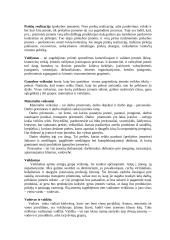 Verslo įvado teorija 2 puslapis