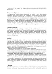 Verslo įvado teorija 11 puslapis