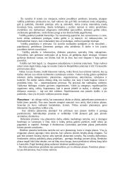 Verslo įvado teorija 3 puslapis