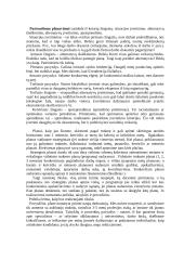 Verslo įvado teorija 4 puslapis