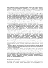 Verslo įvado teorija 7 puslapis