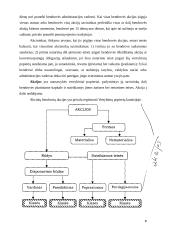 Vertybinių popierių rūšys 4 puslapis