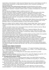 Mitybos kultūra 2 puslapis