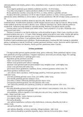 Mitybos kultūra 3 puslapis