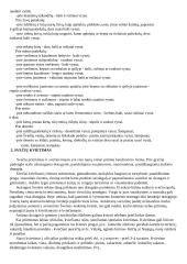 Mitybos kultūra 4 puslapis