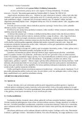 Mitybos kultūra 5 puslapis