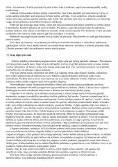 Mitybos kultūra 6 puslapis