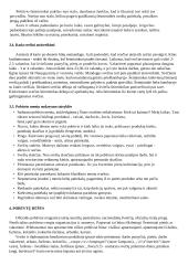 Mitybos kultūra 7 puslapis