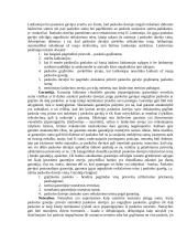 Atskirų finansinių paslaugų teisinis reglamentavimas 19 puslapis