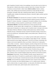 Egipto geografija 6 puslapis