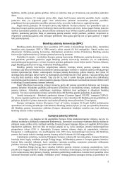 Europos patentų sistema. Europos patentų reforma 3 puslapis