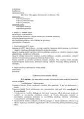 Finansų teisės pagrindai 11 puslapis