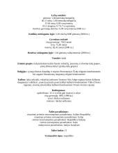 Italijos specifikacija 3 puslapis