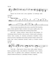 Johanesas Bramsas 4 puslapis