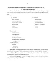 Maisto prekės ir jų klasifikavimas 2 puslapis
