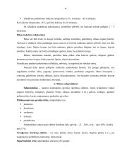 Maisto prekės ir jų klasifikavimas 11 puslapis